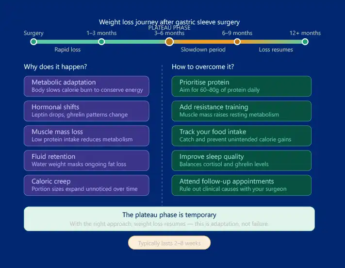 Gastric sleeve plateau phase infographic showing timeline, causes and strategies2